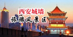 看美女操逼的网站中国陕西-西安城墙旅游风景区